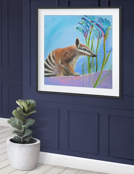 'Nollamara Numbat' Limited Edition Art Print