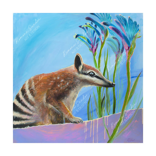 'Nollamara Numbat' Limited Edition Art Print
