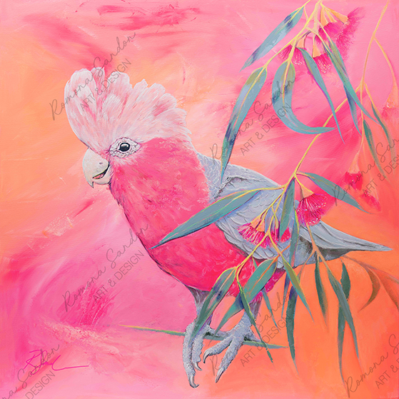 'Pink Sherbert Alfie' Limited Edition Art Print