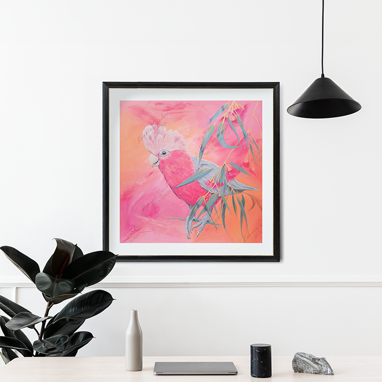 'Pink Sherbert Alfie' Limited Edition Art Print