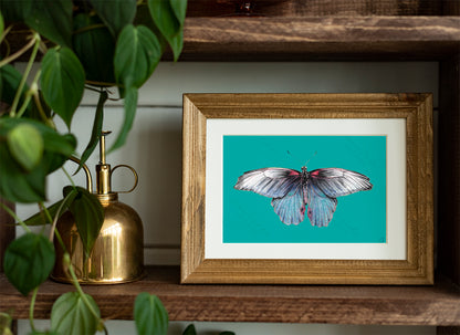 Butterfly A5 Poster Bundle