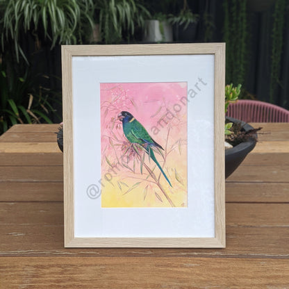 Twenty-eight bird art print in pink and yellow with pink flowering gum Australian art by Romona Sandon Art & Design