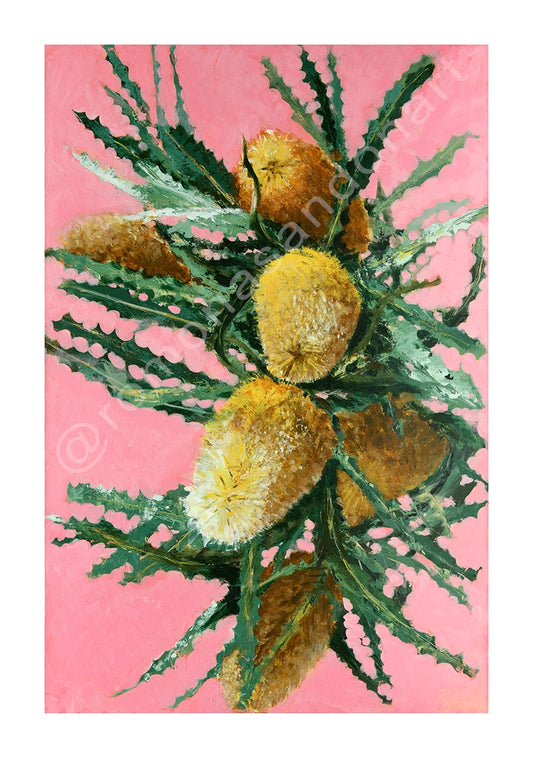 'Banksia Blush' Limited Edition Fine Art Print