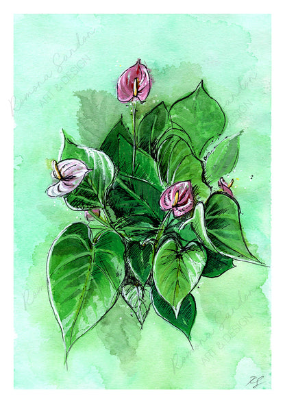 anthurium painting Anthurium' Art Print – Romona Sandon Art & Design