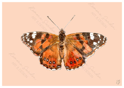 'Aussie Painted Lady' Art Print