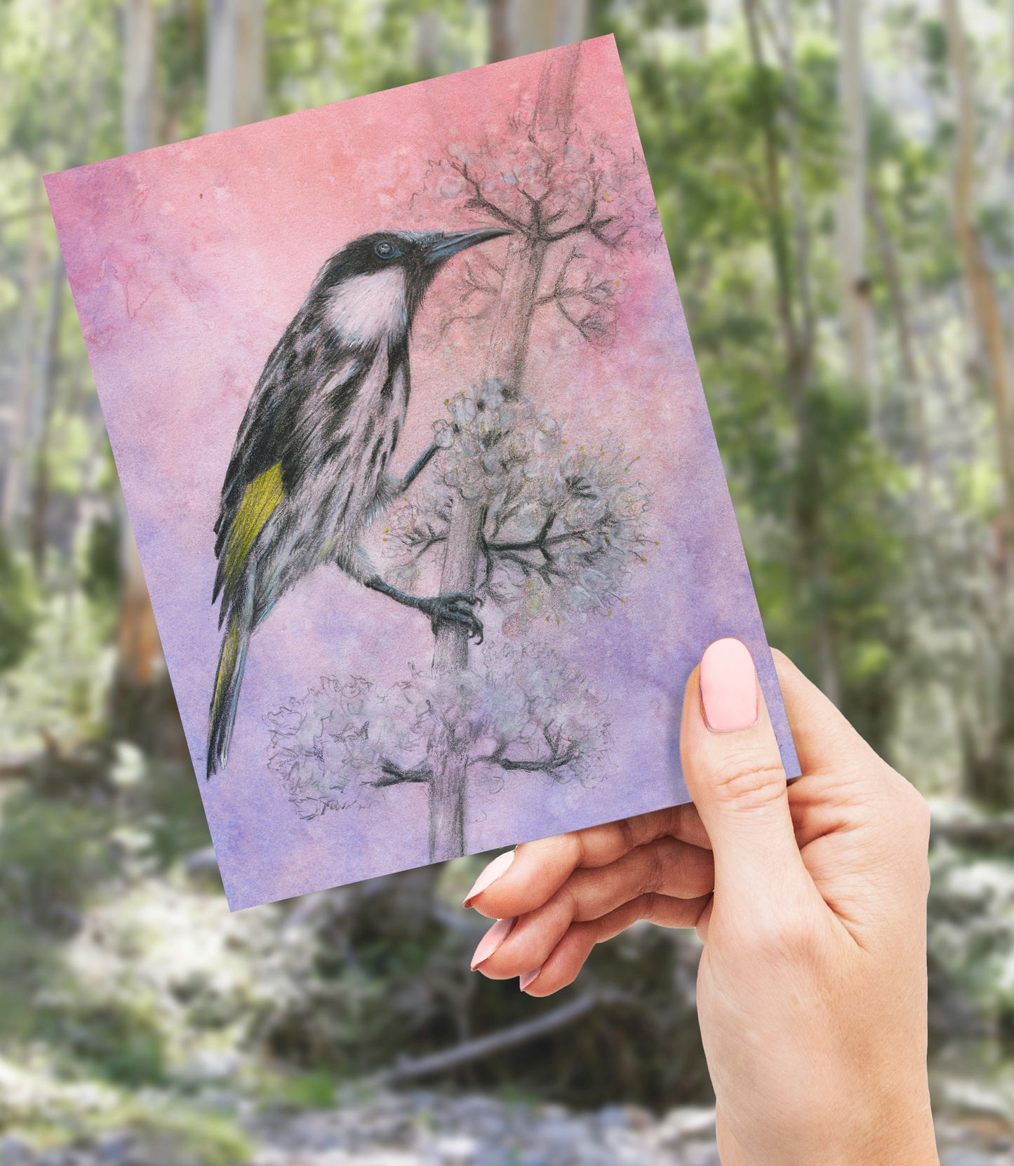 'Honeyeater #1' Card