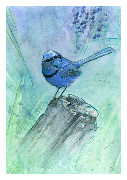 'Caversham Blue' art print splendid fairywren on blue and green with berries australian art by Romona Sandon Art & Design