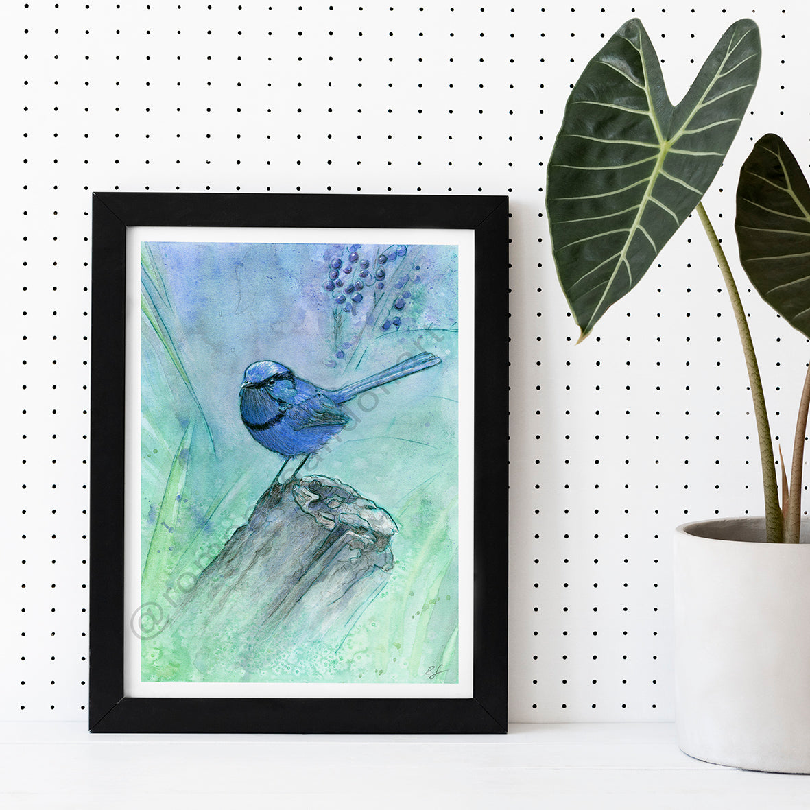 'Caversham Blue' art print splendid fairywren on blue and green with berries australian art by Romona Sandon Art & Design