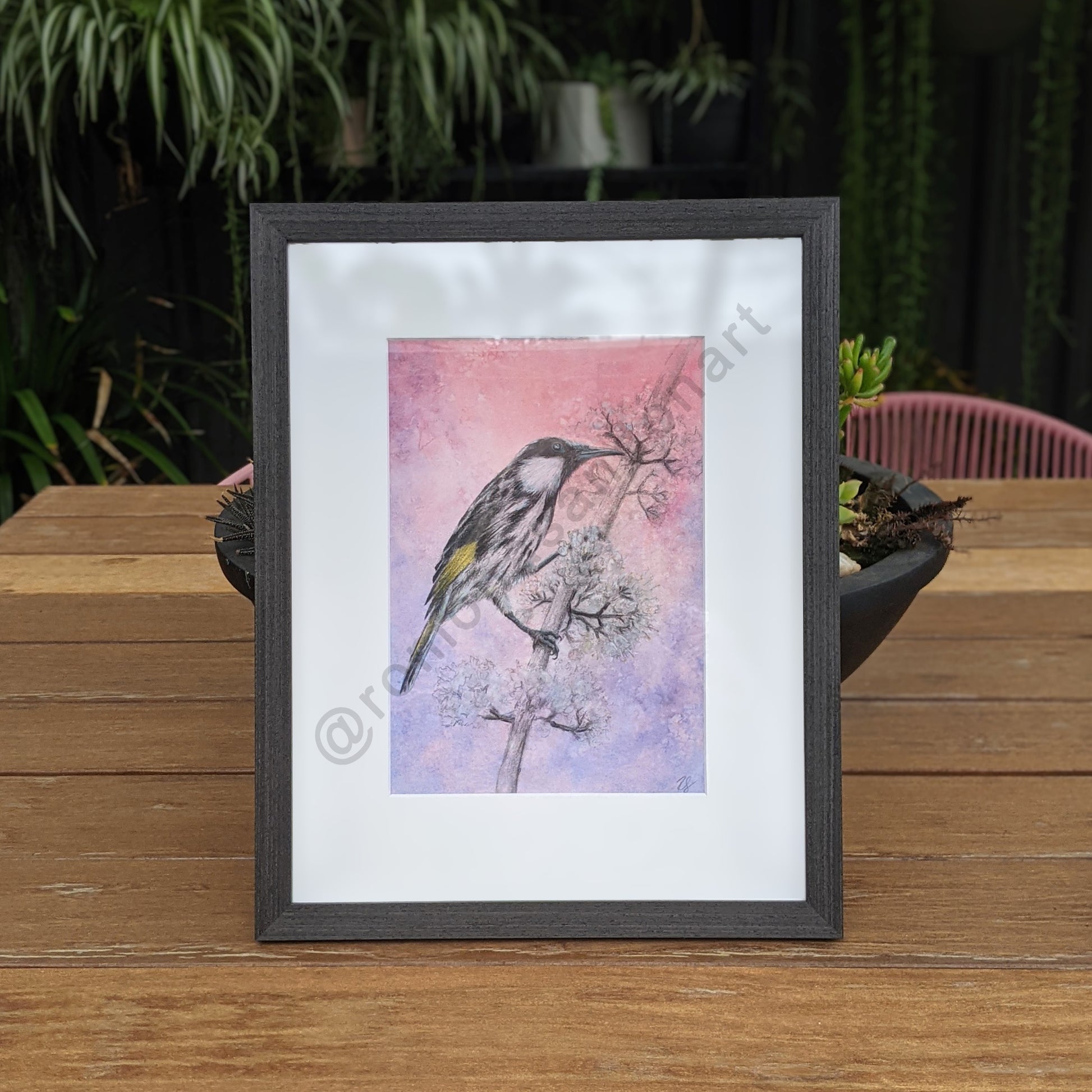 Honeyeater bird art print purple pink by Romona Sandon Art & Design