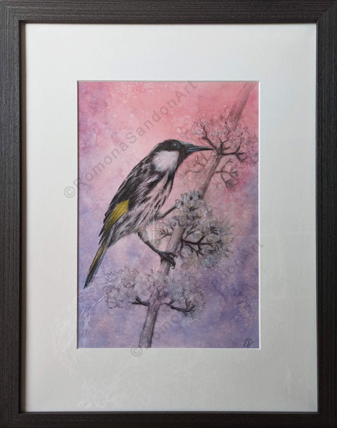 Original Framed Artwork 'Honeyeater #1'