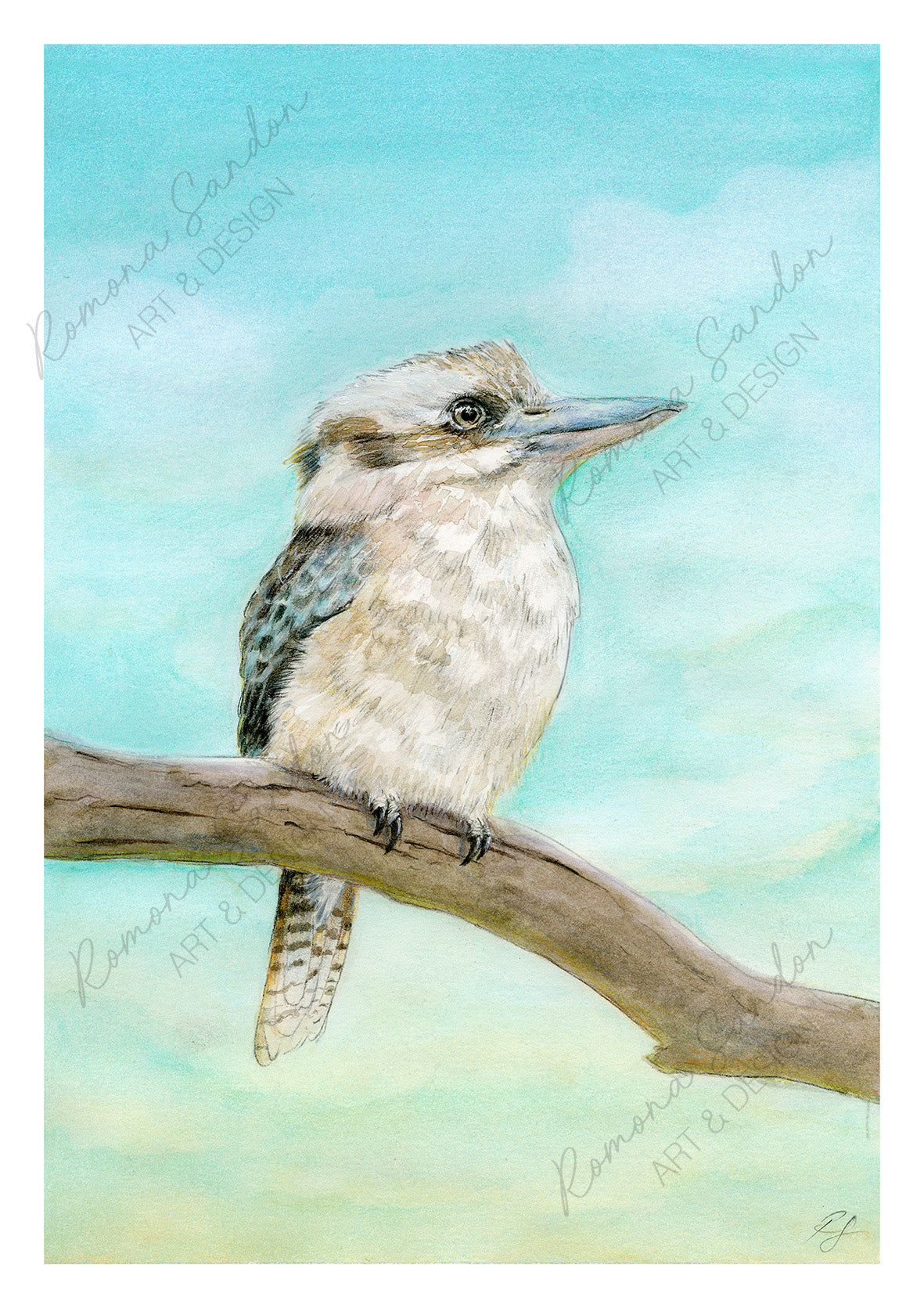 'Kaa Kaa Kookaburra' Art Print