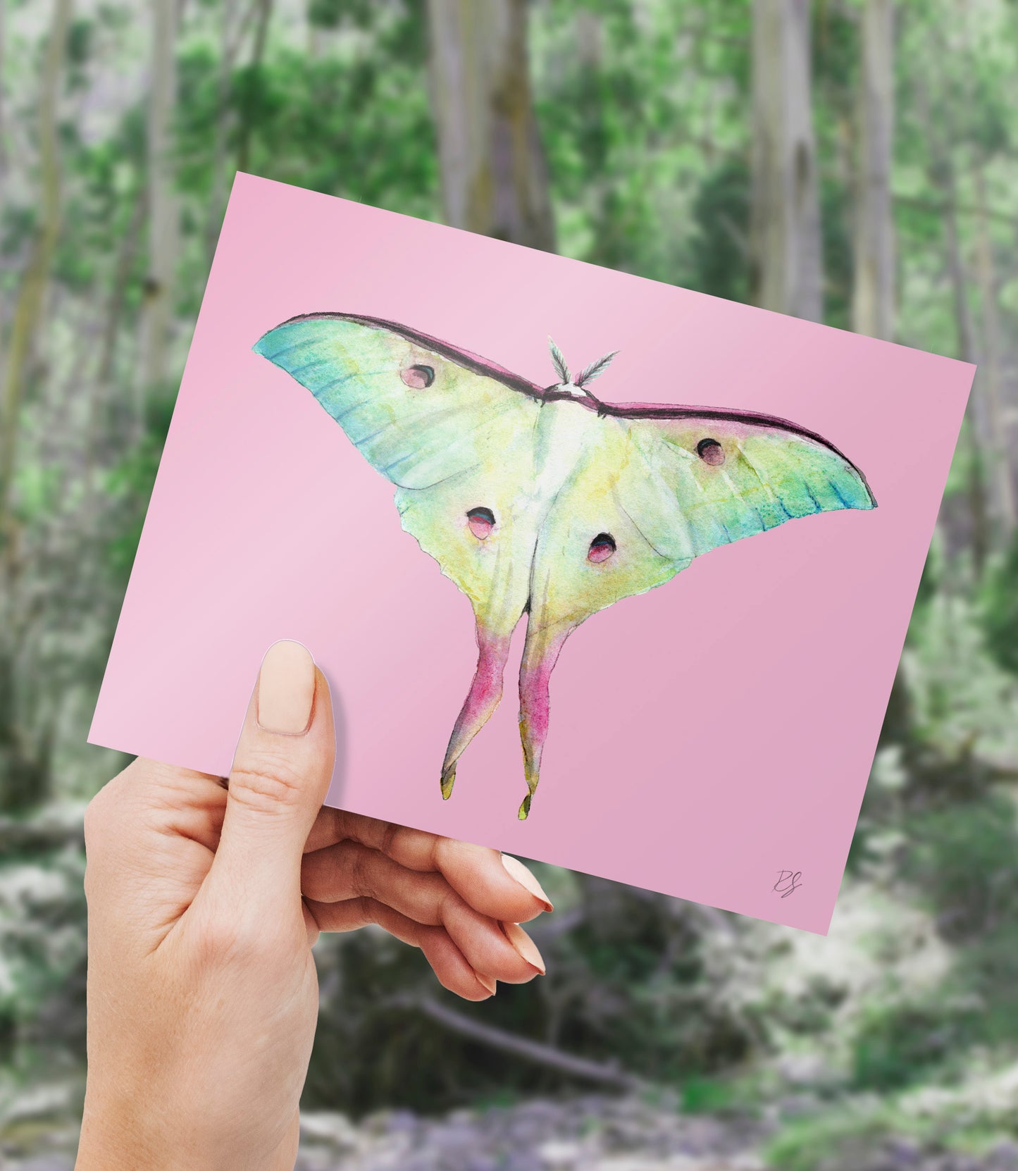 'Moon Moth Paddlepop' Card