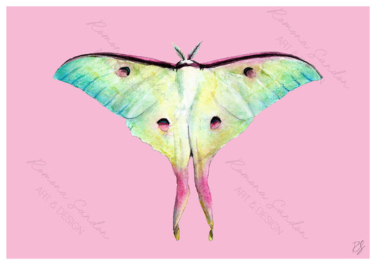 'Moon Moth Paddlepop' Art Print