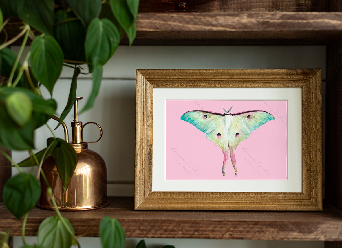 'Moon Moth Paddlepop' Art Print