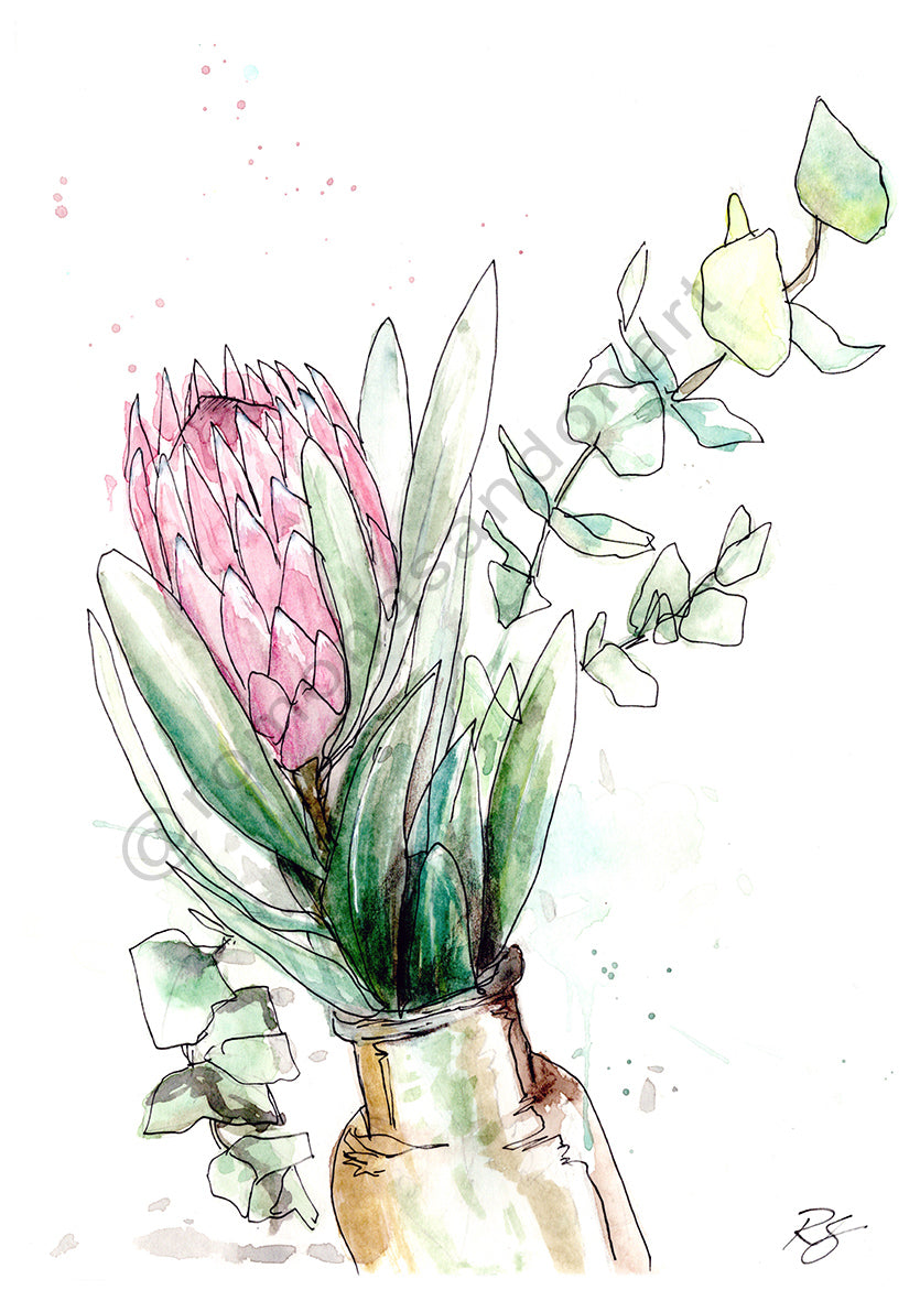 Protea floral art print pink and green Australian art by Romona Sandon Art & Design