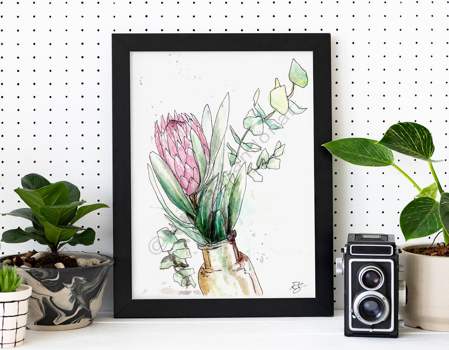 Protea floral art print pink and green Australian art by Romona Sandon Art & Design