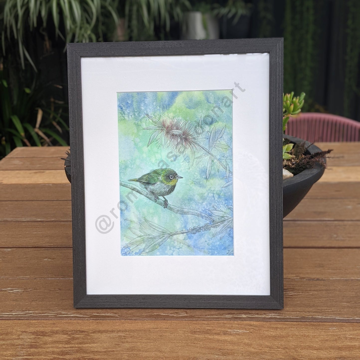 Silvereye bird art print in blue and green with bottlebrush flower Australian art by Romona Sandon Art & Design