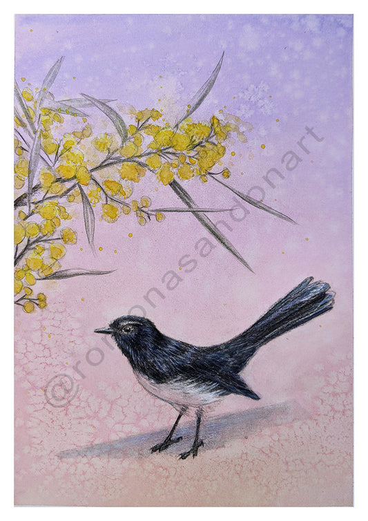 Brook Street Willy art print willy wagtail on purple with wattle flower australian art by Romona Sandon Art & Design