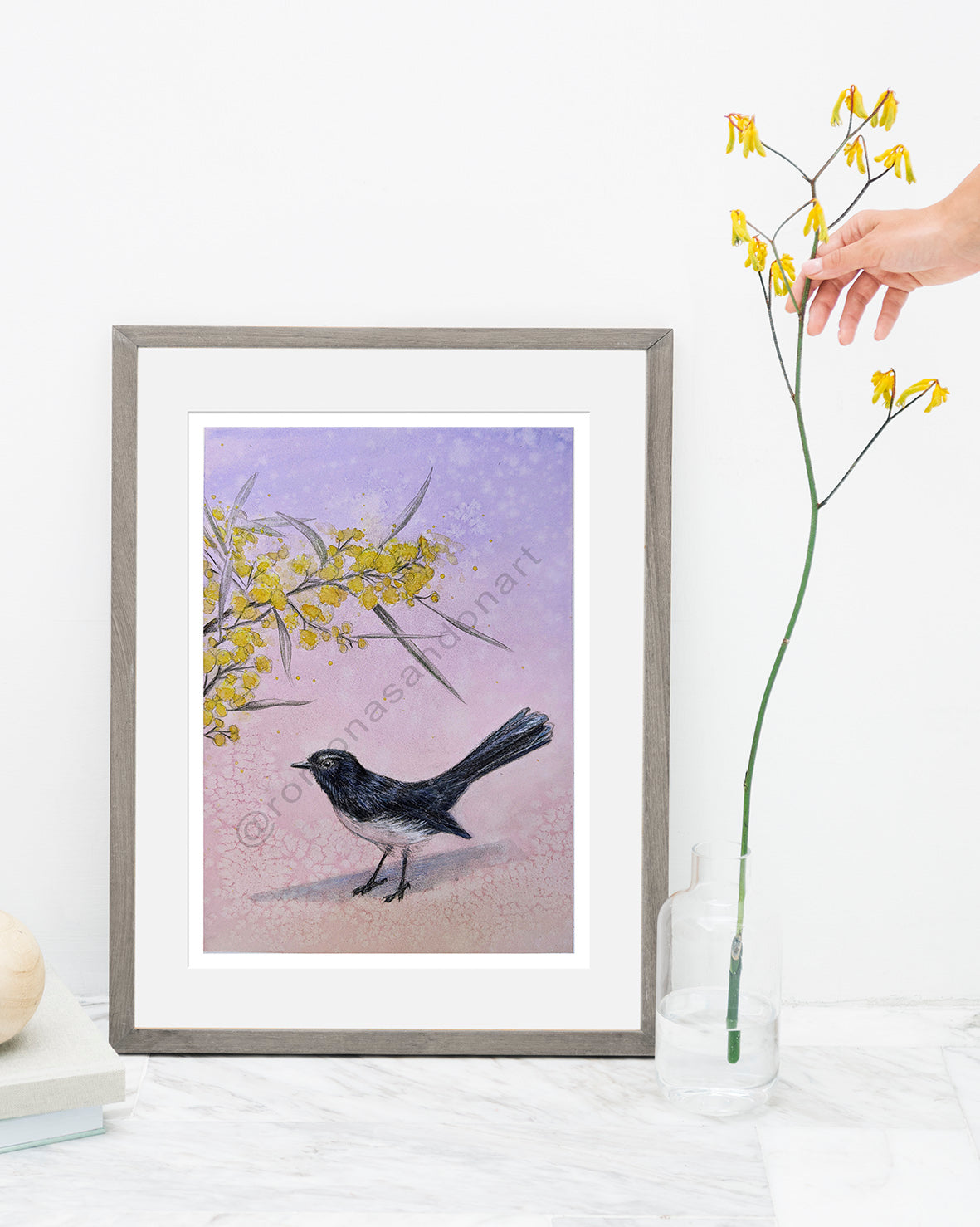 Brook Street Willy art print willy wagtail on purple with wattle flower australian art by Romona Sandon Art & Design